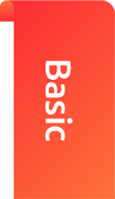 Basic Plan